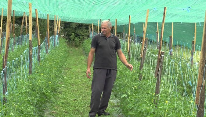 Instruktor postao poljoprivrednik: Lakše s biljkama, nego ljudima