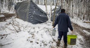 Migranti u BiH: „Bolje je životinjama nego nama“
