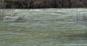 Padavine nisu značajnije uticale na povećanje nivoa rijeka, bez prijetnji od poplava