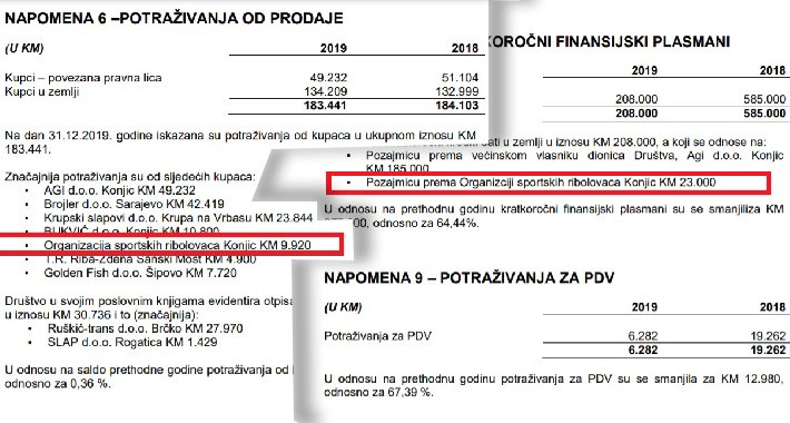 Izvještaj revizorske kuće “Revizija Auditing” Mostar o izvršenoj reviziji finansijskih izvještaja za 2019. godinu