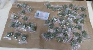 Policija u krošnji drveta u parku pronašla 49 paketića marihuane (FOTO)