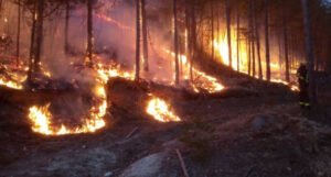 U Konjicu aktivno šest požara, načelnik pozvao građane na odgovornost