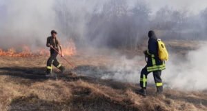 Vatrogasci ugasili požar koji je ugrozio azil s 40-ak napuštenih pasa