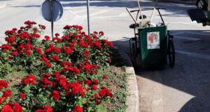 Proljetna akcija čišćenja i hortikulturalnog uređenja Mostara