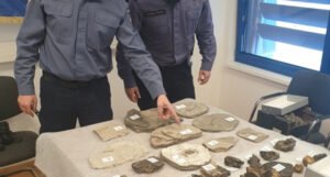 Slovenac pokušao iz BiH prokrijumčariti fosile neprocjenjive vrijednosti