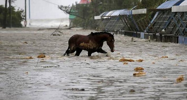 Nakon “pakla Covida” zadesila ih nova nevolja: Zbog ciklona evakuisano milion ljudi