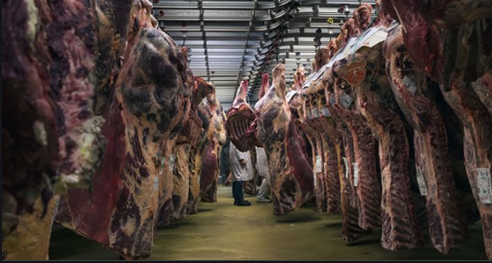 EU dostavila BiH izvještaj o ispunjavanju uslova za izvoz crvenog mesa