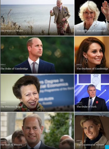 Novi izgled zvanične stranice kraljevske porodice