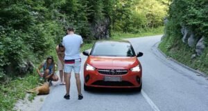 Vozač automobilom usmrtio srnu i lane u Nacionalnom parku Sutjeska
