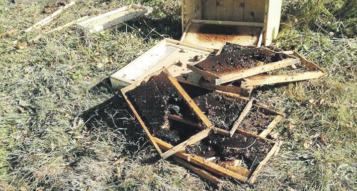 Dvojica huligana uništila 53 košnice s više od 1.000 kilograma meda