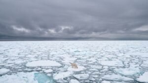 Arktik se zagrijava četiri puta brže od ostatka planete