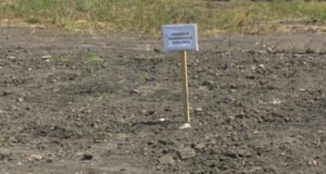 U krugu GIKL-a u Lukavcu bioremedijacijom prečišćeno 690 tona zemljišta