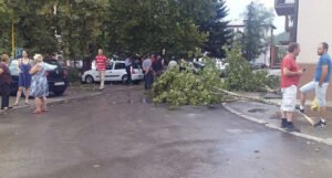Nevrijeme u Milićima: Jak vjetar obarao stabla
