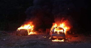 U namjeri da istjera žohare zapalio dva automobila