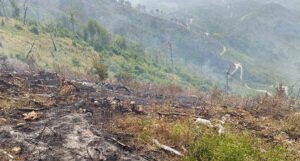 Kiša ugasila požare u Hercegovini, zbog velikih klada koje gore teren se i dalje nadzire