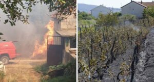 Opet gori u Hercegovini: Izgorjeli vinogradi, košnice i voćke, vatra stigla do štala i kuća