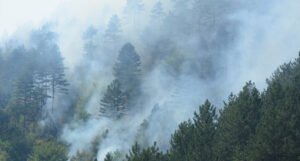 Još nema procjene šteta od šumskih požara u BiH