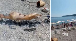 Objavili snimak kako peku janje na plaži u Crnoj Gori