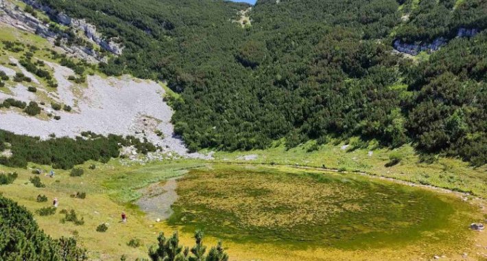 Lokvanjsko jezero nestaje: Ukras Bjelašnice, pretvara se u močvaru