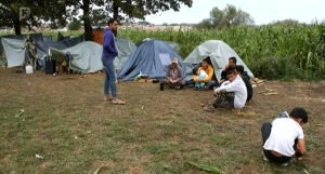 Stotine migranata u “divljim kampovima” kod Bihaća i Velike Kladuše