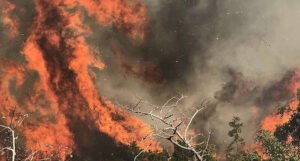 Četiri aktivna požara u HNK-a, u Jablanici stanje prirodne nesreće