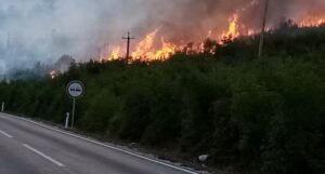 Zbog požara obustavljen saobraćaj na magistralnom putu Ljubinje – Trebinje