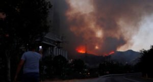 Šumski požar sve bliže termoelektrani u Mugli