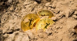 Uprkos neslaganju većine stanovništva: Prvi na svijetu uveli bitcoin kao zvaničnu valutu
