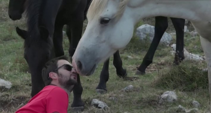 Livanjski divlji konji: Za jedne su atrakcija, za druge smetnja