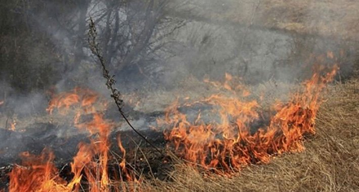 Muškarac izgorio dok je palio korov, požar gasili vatrogasci