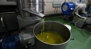 Skače cijena i maslinovog ulja, litar bi mogao koštati čak 35 maraka