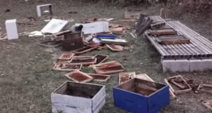 Medvjedi uništavaju pčelinjake, iza sebe ostavljaju podrobljene košnice