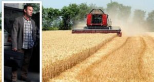 Mutni poslovi oko nabavke 1.500 tona pšenice u FBiH: Cijena veća za 102.000 KM!
