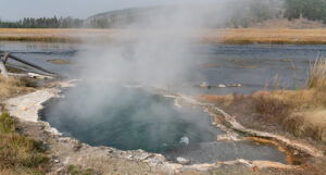 Djevojka skočila u izvor vode temperature 90 stepeni Celzijusa da spasi psa, u teškom je stanju