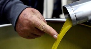 Maslinova ulja iz BiH postaju jako cijenjena: “Izvozimo nekoliko hiljada litara godišnje”