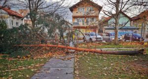 Snažan vjetar rušio stabla, pao i spomenik ubijenim policajcima, oštećen i krov škole