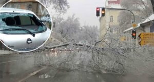 Ledena kiša srušila stabla i električne stubove, oštećeno više od 20 vozila