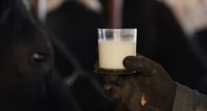 Zbog aflatoksina uništene velike količine mlijeka i mliječnih proizvoda u Sarajevu