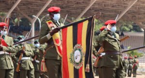 Međunarodni sud pravde: Uganda da plati Kongu 325 miliona dolara odštete