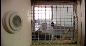 U mostarskom zatvoru zatvorenik izboden hemijskom olovkom