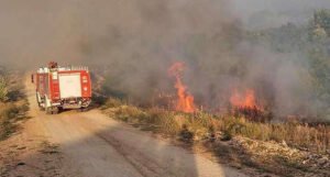 Širom Hercegovine bukte požari, gori i na nepristupačnom terenu na brdu Hum