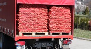 Počeo otkup poljoprivrednih viškova, otkupna cijena 1 KM po kilogramu krompira