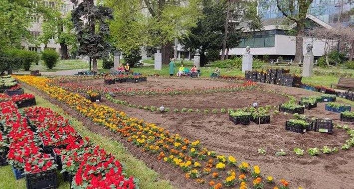 Velikim cvjetnim krugovima od 8.000 cvjetova počelo ukrašavanje parkova