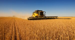 Ukrajina očekuje da će požnjeti oko 67 miliona tona žitarica i uljarica