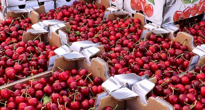 Na Danu mediteranskog voća predstavljen novi brend “Hercegovačka trešnja”