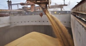 Ukrajina očekuje najveći konvoj sa žitaricama za izvoz iz crnomorskih luka