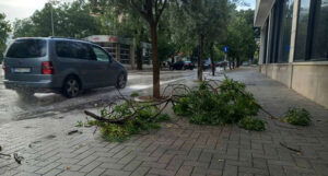 Mostar pogodilo veliko nevrijeme, saobraćajnice zatrpane oštećenim stablima