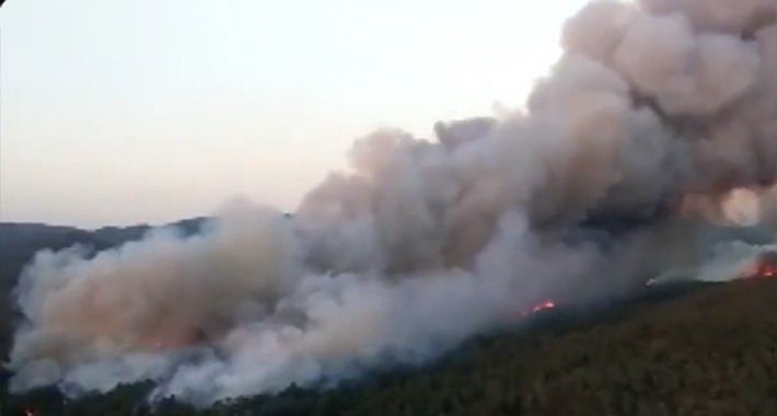Gori 3.000 hektara zemlje: Veliki požar kod odmarališta u Turskoj, ljudi se evakuišu
