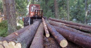 Izvoz drvne industrije BiH veći za 23 posto
