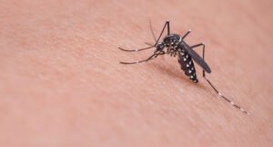 Znate li zašto ubod komarca svrbi?